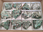 Natural Emerald Mica 'Mutokolite' Specimens x 12 From Mutoko, Zimbabwe - Toprock Gemstones and Minerals 