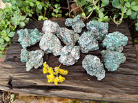 Natural Emerald Mica 'Mutokolite' Specimens x 12 From Mutoko, Zimbabwe - Toprock Gemstones and Minerals 