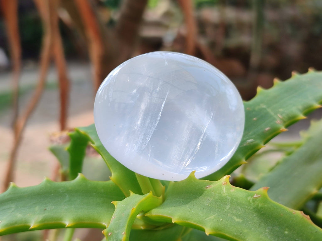 Polished Girasol Pearl Quartz Palm Stones x 12 From Ambatondrazaka, Madagascar - Toprock Gemstones and Minerals 