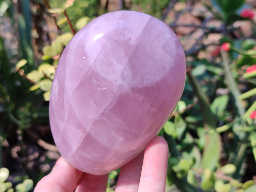 Polished Star Rose Quartz Standing Free Forms x 2 From Madagascar - Toprock Gemstones and Minerals 