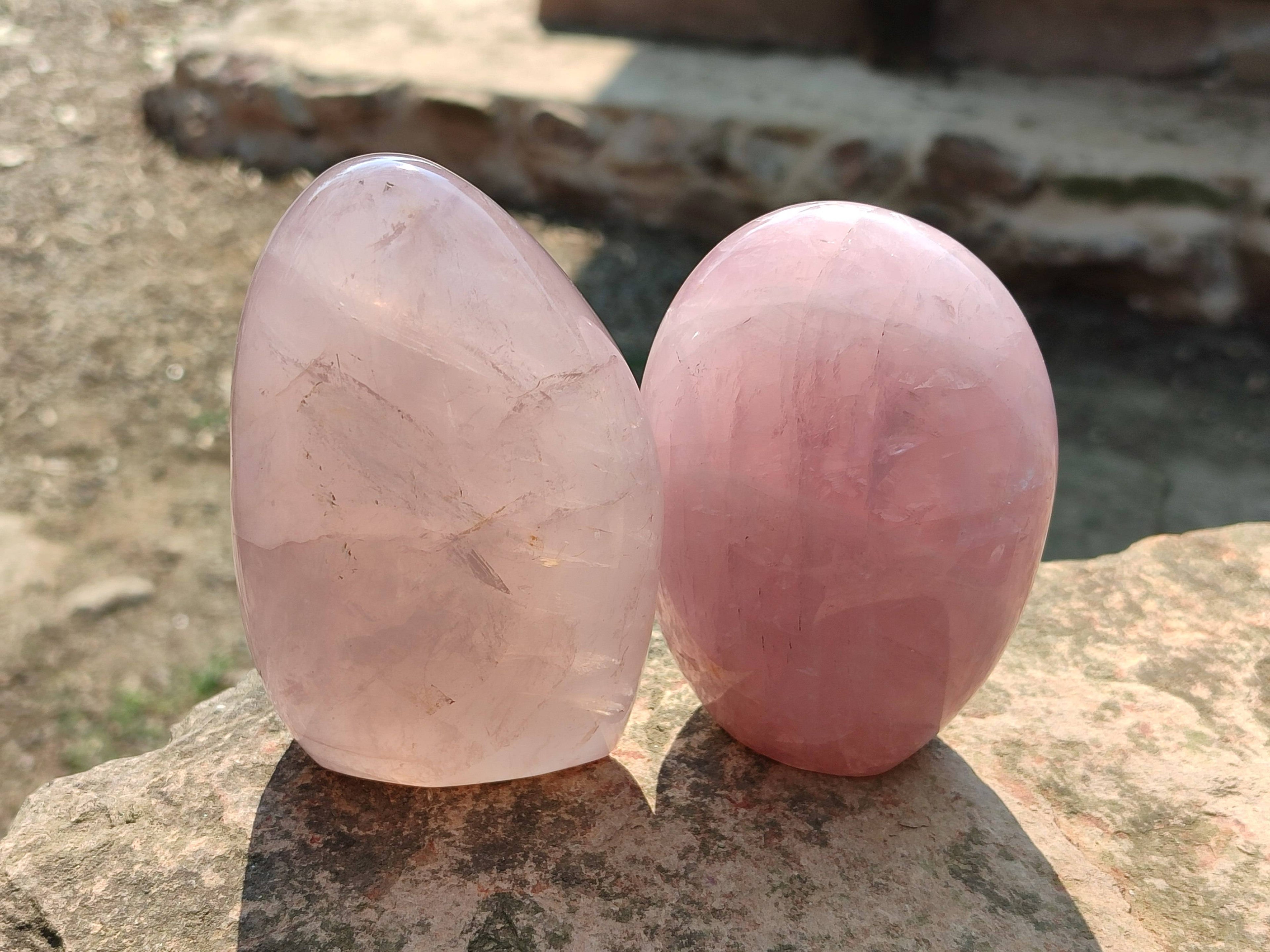 Polished Star Rose Quartz Standing Free Forms x 2 From Madagascar - Toprock Gemstones and Minerals 