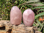 Polished Star Rose Quartz Standing Free Forms x 2 From Madagascar - Toprock Gemstones and Minerals 