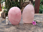 Polished Star Rose Quartz Standing Free Forms x 2 From Madagascar - Toprock Gemstones and Minerals 