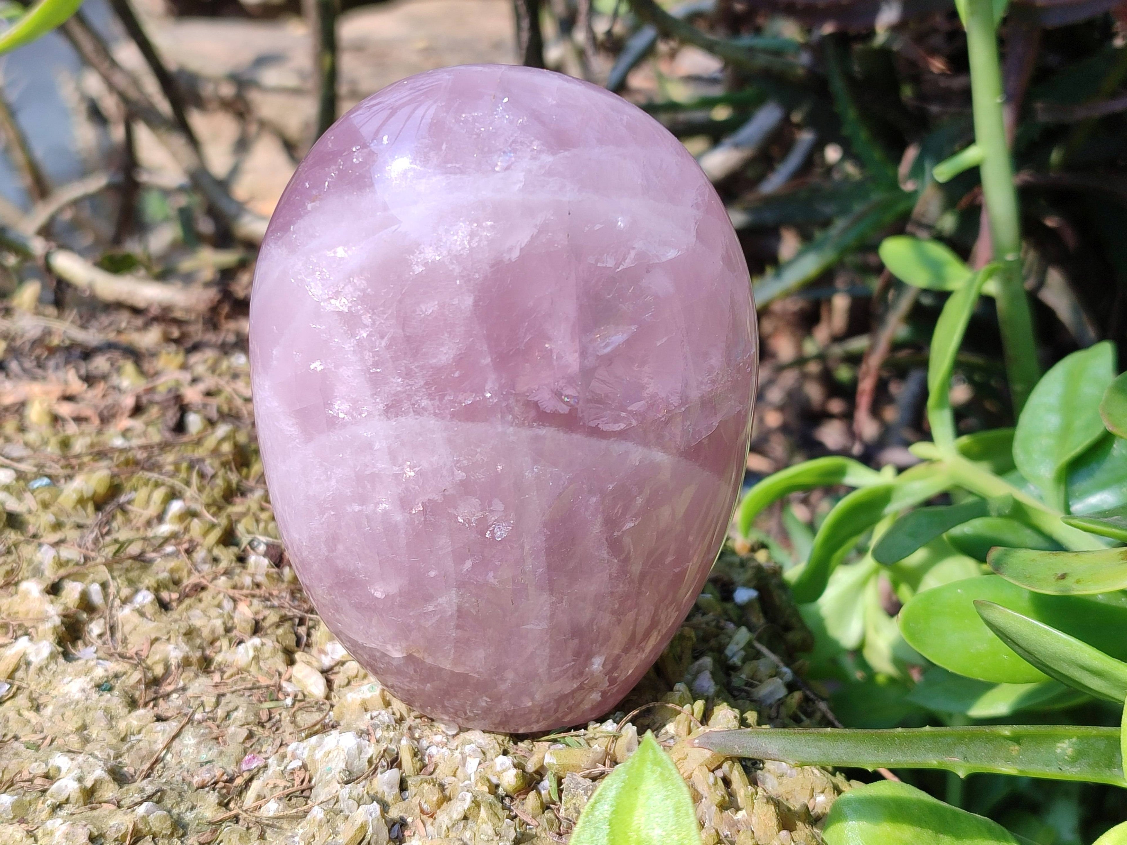 Polished Star Rose Quartz Standing Free Forms x 2 From Madagascar - Toprock Gemstones and Minerals 