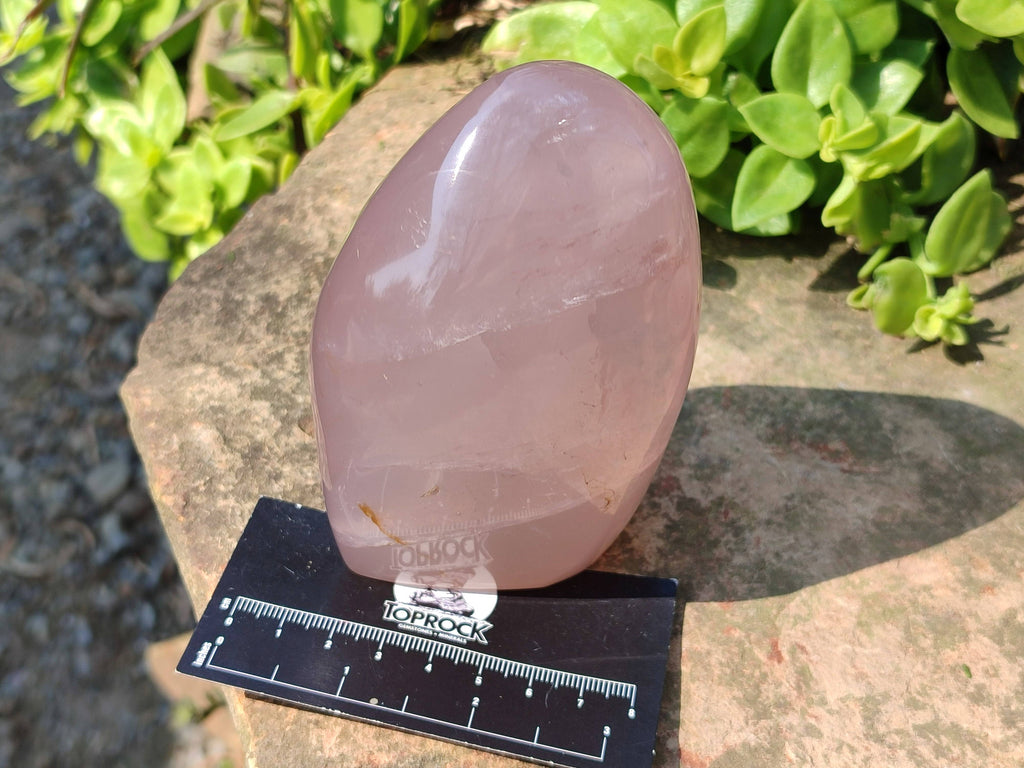 Polished Star Rose Quartz Standing Free Forms x 2 From Madagascar - Toprock Gemstones and Minerals 