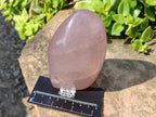 Polished Star Rose Quartz Standing Free Forms x 2 From Madagascar - Toprock Gemstones and Minerals 