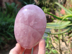 Polished Star Rose Quartz Standing Free Forms x 2 From Madagascar - Toprock Gemstones and Minerals 