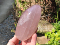 Polished Star Rose Quartz Standing Free Forms x 2 From Madagascar - Toprock Gemstones and Minerals 