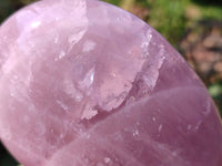 Polished Star Rose Quartz Standing Free Forms x 2 From Madagascar - Toprock Gemstones and Minerals 
