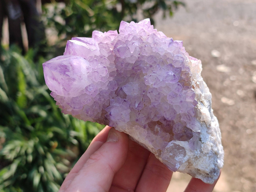 Natural Amethyst Spirit Quartz Clusters x 2 From South Africa - Toprock Gemstones and Minerals 