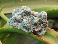 Natural Emerald Mica 'Mutokolite' Specimens x 24 From Mutoko, Zimbabwe