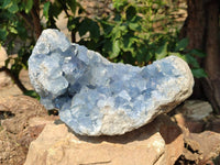Natural Blue Celestite Geode Specimen x 1 From Sakoany, Madagascar