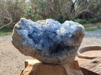 Natural Blue Celestite Geode Specimen x 1 From Sakoany, Madagascar