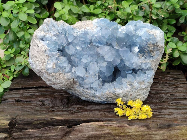 Natural Blue Celestite Geode Specimen x 1 From Sakoany, Madagascar