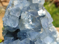 Natural Blue Celestite Geode Specimen x 1 From Sakoany, Madagascar