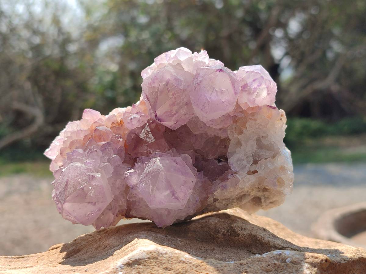 Natural Amethyst Spirit Quartz Clusters x 6 From Boekenhouthoek, South Africa - Toprock Gemstones and Minerals 
