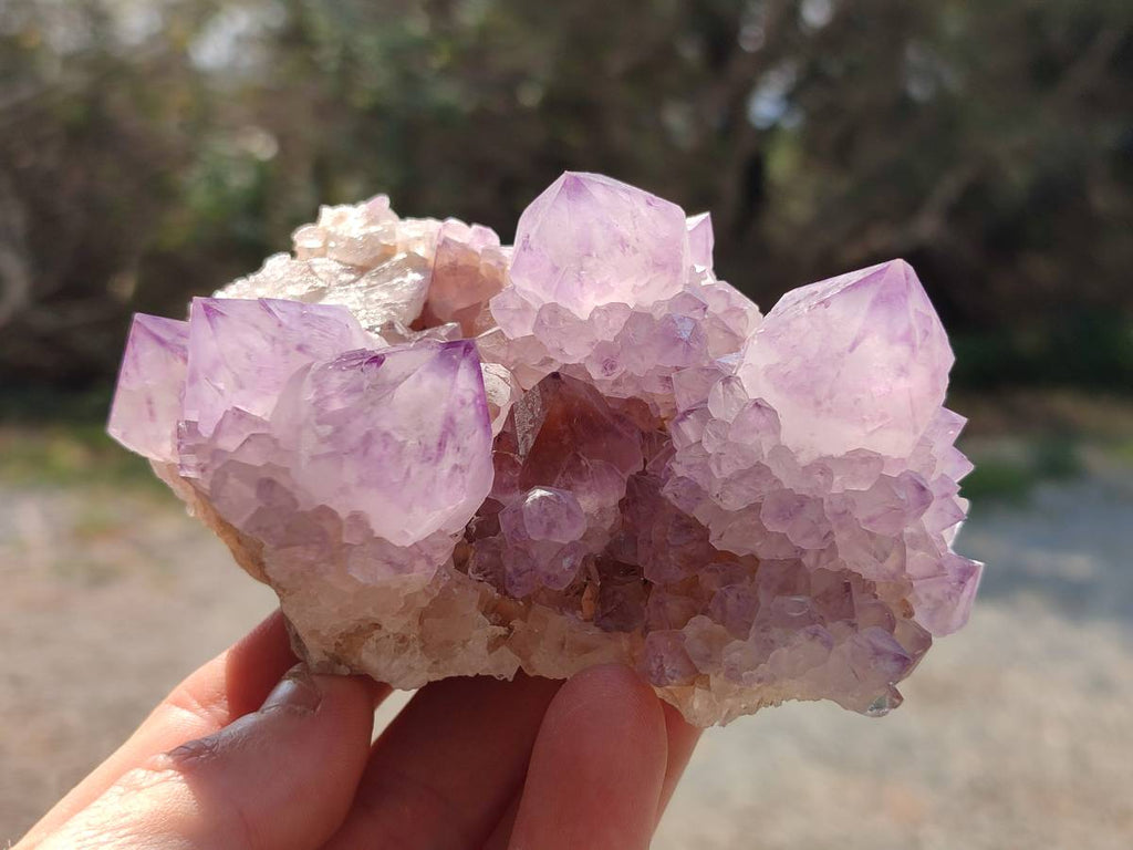 Natural Amethyst Spirit Quartz Clusters x 6 From Boekenhouthoek, South Africa - Toprock Gemstones and Minerals 