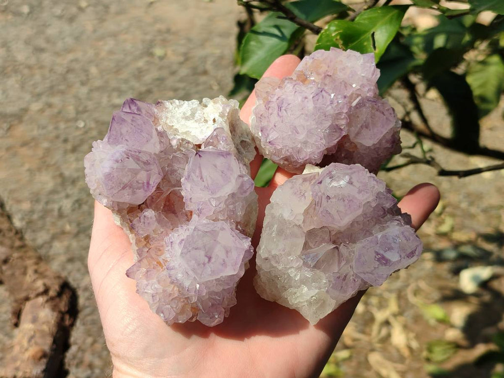 Natural Amethyst Spirit Quartz Clusters x 6 From Boekenhouthoek, South Africa - Toprock Gemstones and Minerals 