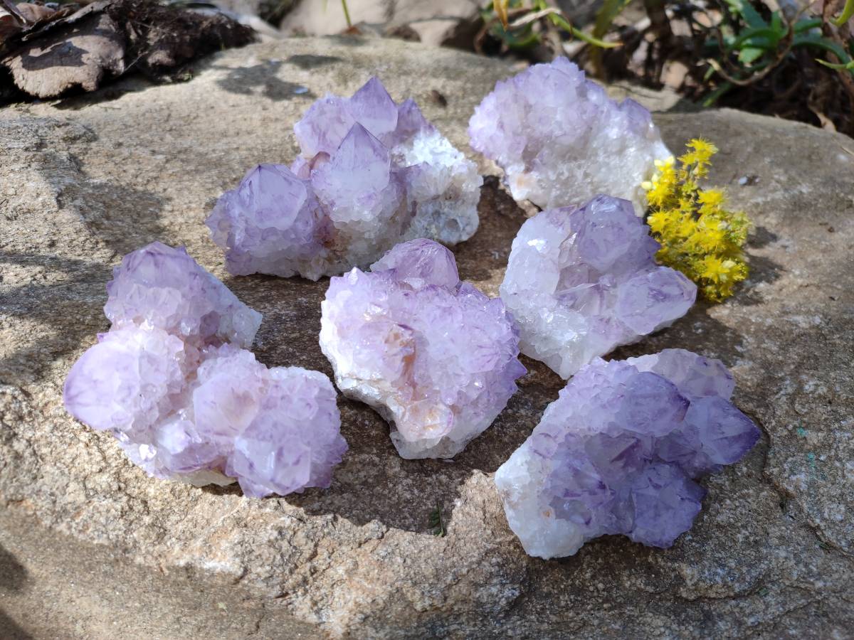 Natural Amethyst Spirit Quartz Clusters x 6 From Boekenhouthoek, South Africa - Toprock Gemstones and Minerals 