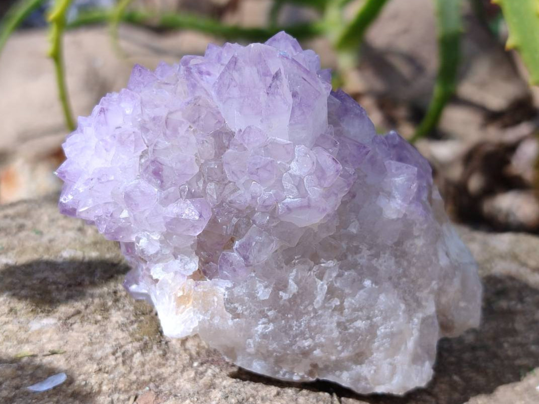 Natural Amethyst Spirit Quartz Clusters x 6 From Boekenhouthoek, South Africa - Toprock Gemstones and Minerals 