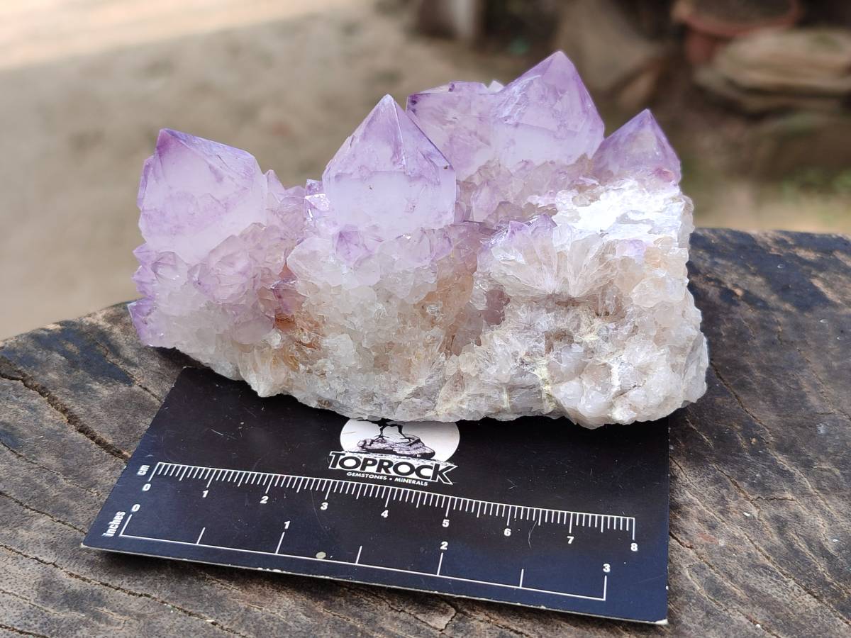 Natural Amethyst Spirit Quartz Clusters x 6 From Boekenhouthoek, South Africa - Toprock Gemstones and Minerals 