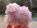 Natural Amethyst Spirit Quartz Clusters x 6 From Boekenhouthoek, South Africa - Toprock Gemstones and Minerals 