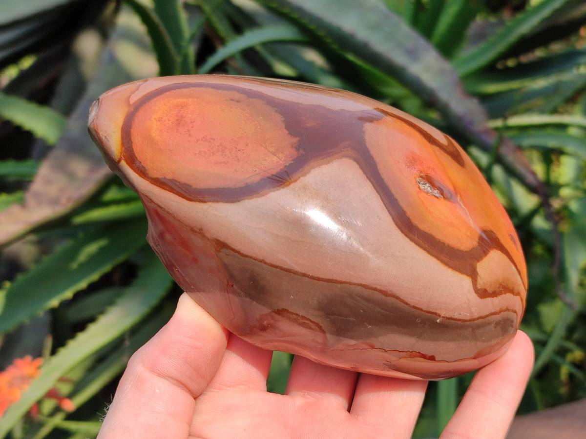 Polished On One Side Polychrome Jasper Nodules x 3 From NW Coast, Madagascar - Toprock Gemstones and Minerals 