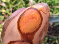 Polished On One Side Polychrome Jasper Nodules x 3 From NW Coast, Madagascar