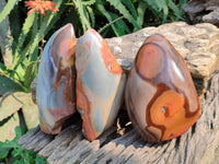 Polished On One Side Polychrome Jasper Nodules x 3 From NW Coast, Madagascar