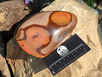 Polished On One Side Polychrome Jasper Nodules x 3 From NW Coast, Madagascar