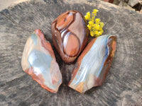 Polished On One Side Polychrome Jasper Nodules x 3 From NW Coast, Madagascar