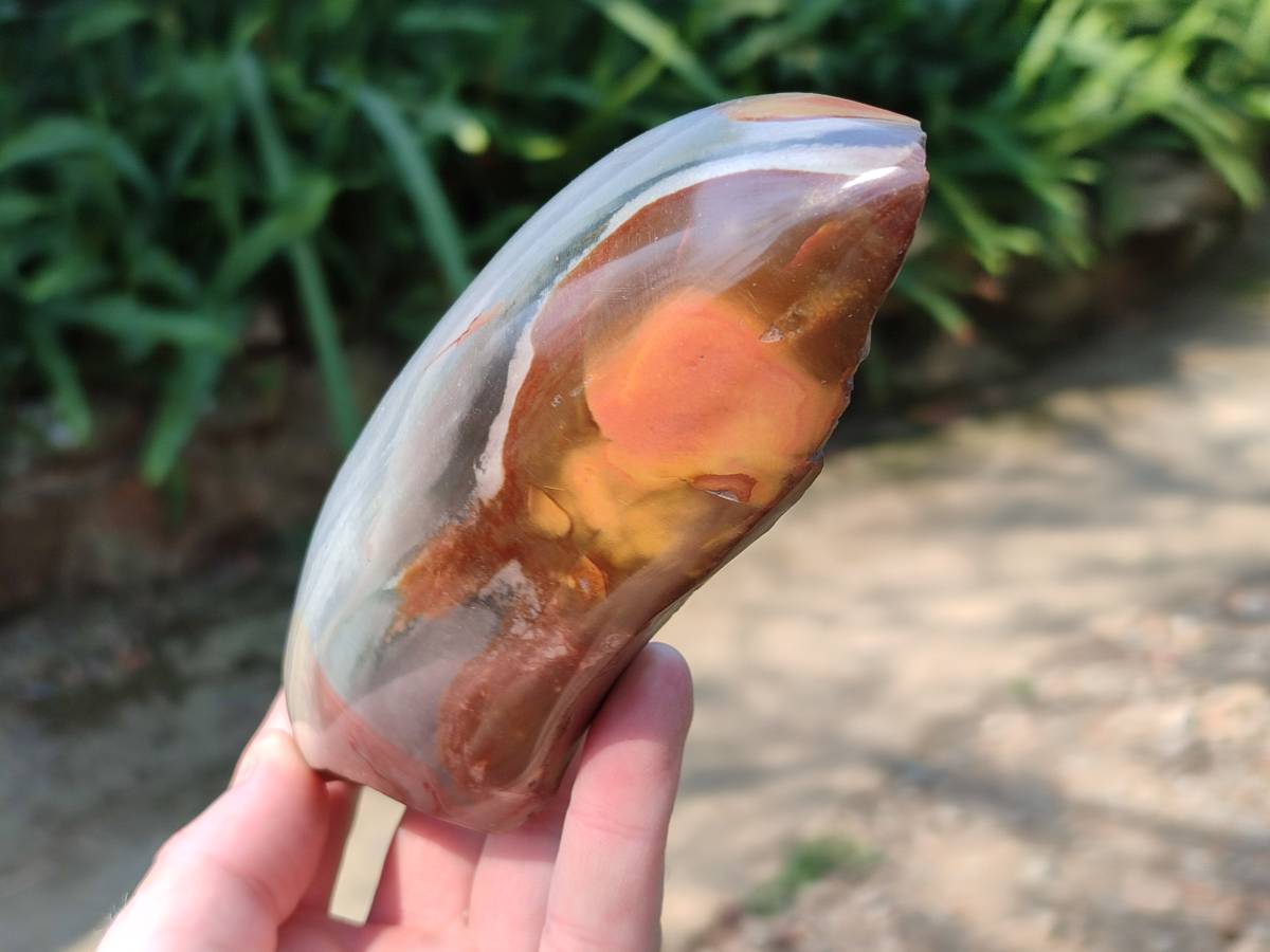 Polished On One Side Polychrome Jasper Nodules x 3 From NW Coast, Madagascar - Toprock Gemstones and Minerals 