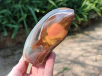 Polished On One Side Polychrome Jasper Nodules x 3 From NW Coast, Madagascar