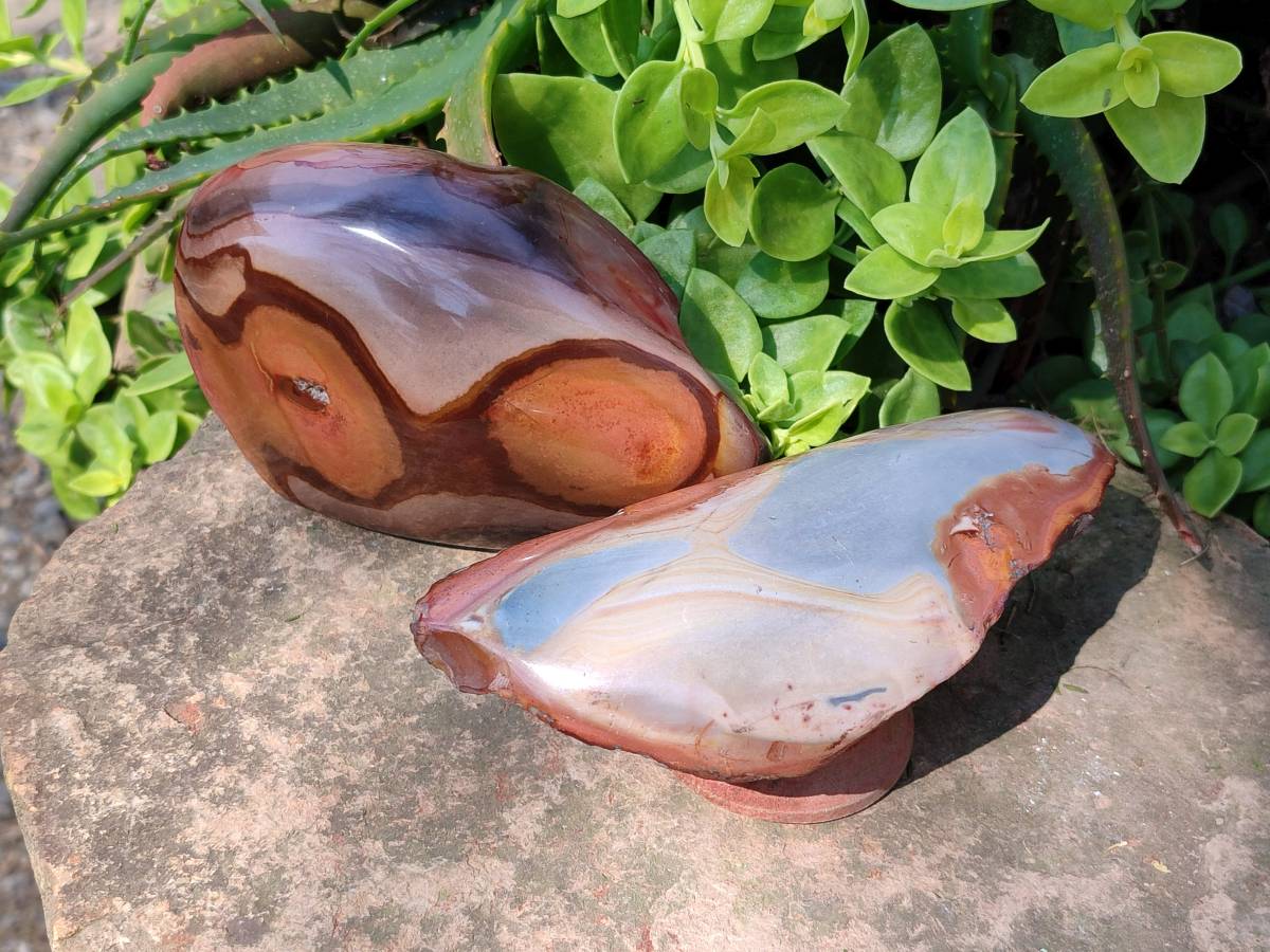 Polished On One Side Polychrome Jasper Nodules x 3 From NW Coast, Madagascar - Toprock Gemstones and Minerals 