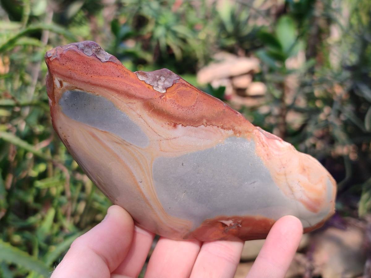 Polished On One Side Polychrome Jasper Nodules x 3 From NW Coast, Madagascar - Toprock Gemstones and Minerals 