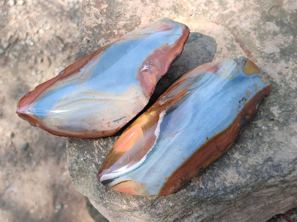 Polished On One Side Polychrome Jasper Nodules x 3 From NW Coast, Madagascar - Toprock Gemstones and Minerals 