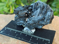 Natural Schorl Black Tourmaline Specimens x 12 From Erongo, Namibia