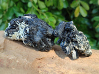 Natural Schorl Black Tourmaline Specimens x 12 From Erongo, Namibia