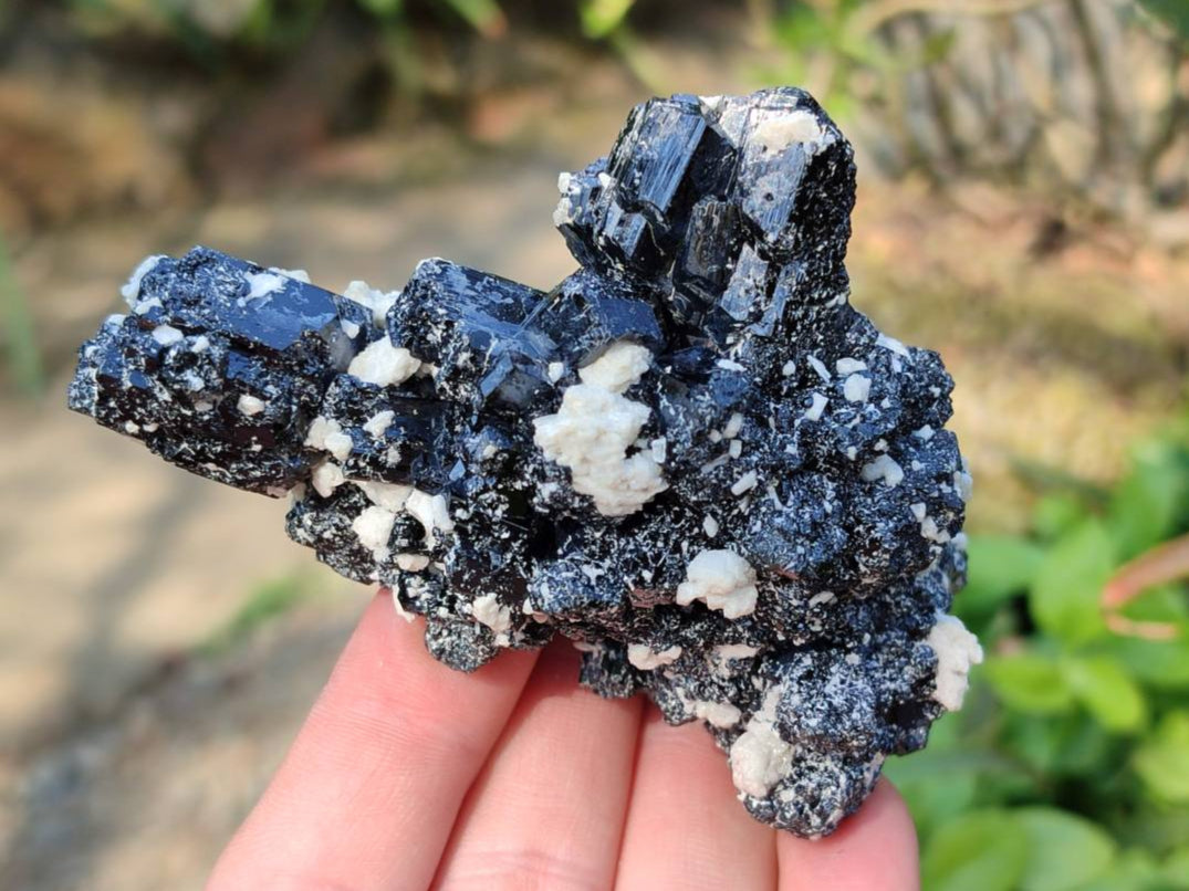 Natural Schorl Black Tourmaline Specimens x 12 From Erongo, Namibia - Toprock Gemstones and Minerals 