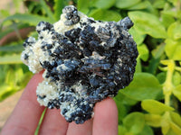 Natural Schorl Black Tourmaline Specimens x 12 From Erongo, Namibia