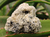 Natural Schorl Black Tourmaline Specimens x 12 From Erongo, Namibia
