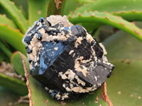 Natural Schorl Black Tourmaline Specimens x 12 From Erongo, Namibia