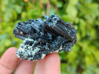 Natural Schorl Black Tourmaline Specimens x 12 From Erongo, Namibia