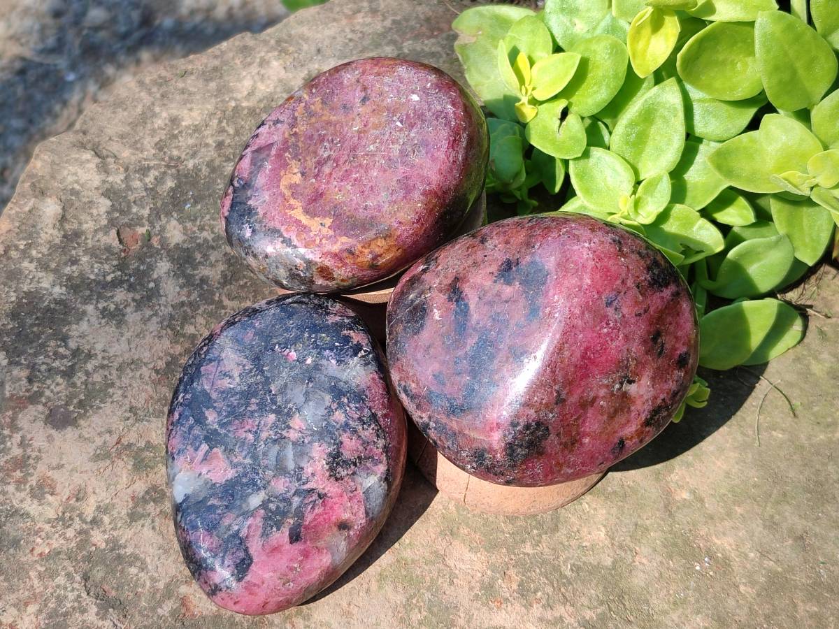 Polished Rhodonite Free Forms x 6 From Rhusinga, Zimbabwe - Toprock Gemstones and Minerals 