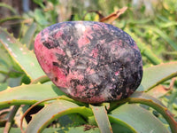 Polished Rhodonite Free Forms x 6 From Rhusinga, Zimbabwe