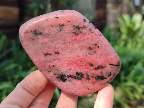 Polished Rhodonite Free Forms x 6 From Rhusinga, Zimbabwe