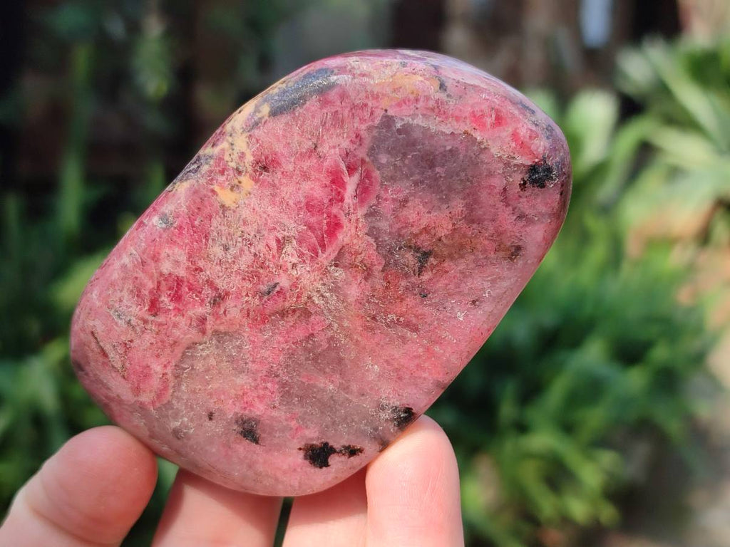 Polished Rhodonite Free Forms x 6 From Rhusinga, Zimbabwe - Toprock Gemstones and Minerals 