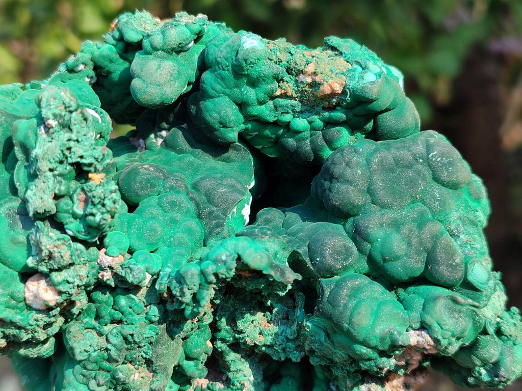 Natural Botryoidal Malachite Specimens x 2 From Congo - Toprock Gemstones and Minerals 