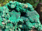 Natural Botryoidal Malachite Specimens x 2 From Congo - Toprock Gemstones and Minerals 