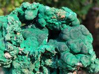 Natural Botryoidal Malachite Specimens x 2 From Congo